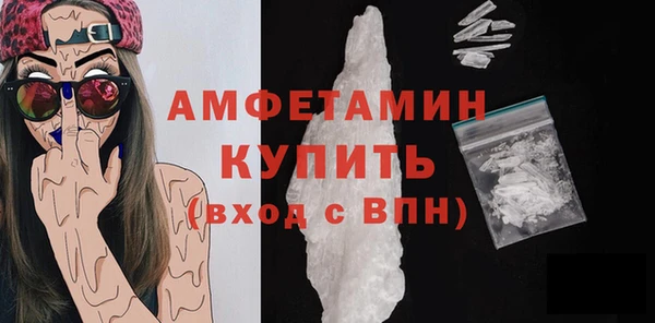 прущие грибы Тавда