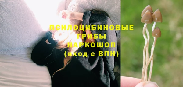 молекула духа Балахна