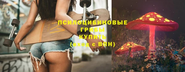 мет Тихвин