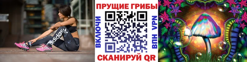 цена наркотик Бикин Псилоцибиновые грибы ЛСД